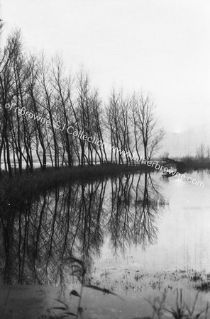 BECCLES MARSHES FLOODTIME